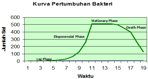 Kurva Pertumbuhan Bakteri Stationary Phase Death Phase 600 500 400 300 200 100 0 Eksponensial Phase Jumlah Sel Lag Phase 1 3 5 7 9 11 Waktu 13 15 17 19 