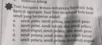 umsum tulang Toni bersama teman-temannya bermain bola kasti di lapangan. Saat Toni melempar bola kasti sendi yang berperan adalah ... a sendi putar, sendi pelana, dan sendi geser b. sendi putar, sendi luncur, dan sendi peluru . sendi engsel sendi pelana, dan sendi geser d sendi pelana, sendi putar, dan sendi luncur e. sendi peluru, sendi pelana, dan sendi engsel 