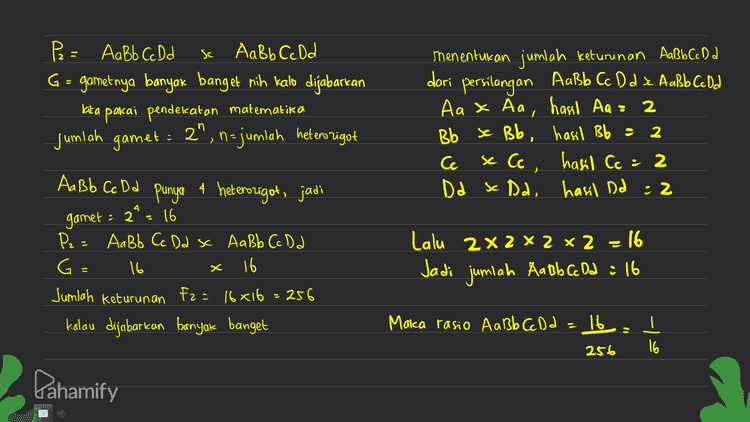 P: AABB CCI Gamet = ABC AaBb Cc x aabbcc se abc Csemuonya / 100%) maka kemungkinan keturunan Aabb Ce= 1 Pahamify 
Gen bentuk polong G dan g gen warna polong I dan gi F= or gi Dijawab : P: Gg Ji x Gg Ii G = GI, Gi, gl, x Gl, Gi, gI, gi GI Gi g) GGIL GGI: Gg II Gi GGI: GGii Gqli g] Ggl Gali Gg 9911 Ditanya = persilangan sifat heterozigot sesamanya genotipe heterozigot : GgIi x Gg Ii Ggli Ggii ggli gi Ggli Ggii 99 li ggi Rasio genotipe F: gG-J- - 1 GGS), 2 GGDi, 2Gg]Í , 4 Gg Ii 3G-il s 1 GGü, Ggli 1 2 آ وو2 11و19: -وو 3 I ggii Pahamify 
x k Ketentuan genotipe pial ayam P-R- Walnut - pea ppR- = single Porr 오 l Pr - rose Dijawab: P = PPR, P = PPRr x pphr G =PR, Pr PR, pr F à a PR I P. PR PRR PR. Porn Porn Ratio genotipe : PARR : 2 PpRr : 1 pprr = (walnut) (walnut) (pea) Ratio fenotipe = 3 walnut : ' pea ppre pr 2 Ditanya = PPR, & pp Rr . jumlah keturunan yang mirip kedua tetuanya (walnut) & (rose) 75% Yang mirip telua (walnut) 3 4 Pahamify 
sc P₂ = AaBb Cc D d Aa Bb Cc D d G = gamet nya banyak banget nih kalo dijabarkan kata pakai pendekatan matematika jumlah gamet: 2", n- jumlah heterozigot menentukan jumlah keturunan Außbcond dari persilangan AaBb Cc D d x Aa Bb Cc D d Aa x Aa, hasil Aa = 2 Bb se Bb, hasil Bb = 2 Cc se Cc, hasil Cc : 2 Da se Dd, hasil Dd : 2 ) 4. gamet - 29 AaBb Cc D d punya 4 heterozigot, jadi 16 P2= Aabb Cc Dd sc AaBb Cc D d G= 16 16 Jumlah keturunan fz = 16x16 = 256 kalau dijabarkan banyak banget Lalu 2x2 x 2 x 2 16 Jadi jumlah Aadb c Da : 16 C Marca rasio AaBb Cc D d 1b - I 16 256 Pahamify 