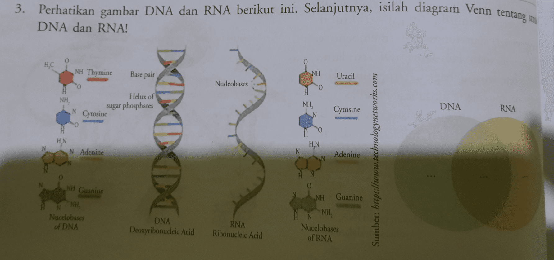 3. Perhatikan gambar DNA dan RNA berikut ini. Selanjutnya, isilah diagram Venn tentang stu DNA dan RNA! o HC NH Thymine Base pair NH Uracil Nudeobases O Н Helux of NH sugar phosphates N Cytosine NH Cytosine DNA RNA N 000 O HN HN N Adenine N Adenine Sumber: https://www.technologynetworks.com NH Guanine NH Guanine NH Nucelobases of DNA N DNA Deoxyribonucleic Acid RNA Ribonucleic Acid NH, Nucelobases of RNA 