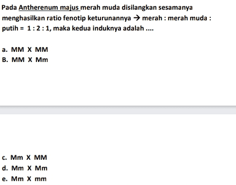 Pada Antherenum majus merah muda disilangkan sesamanya menghasilkan ratio fenotip keturunannya merah : merah muda : putih = 1:2:1, maka kedua induknya adalah .... a. MM X MM B. MM X Mm c. Mm X MM d. Mm X Mm e. Mm X mm 