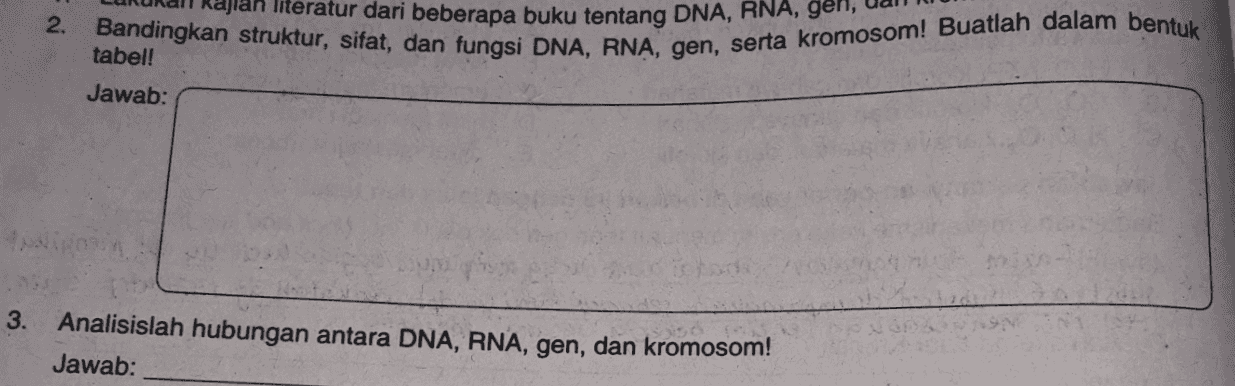 ajian literatur dari beberapa buku tentang DNA, RNA, gen. 2. Bandingkan struktur, sifat, dan fungsi DNA, RNA, gen, serta kromosom! Buatlah dalam bentuk tabel! Jawab: pin 3. Analisislah hubungan antara DNA, RNA, gen, dan kromosom! Jawab: 
