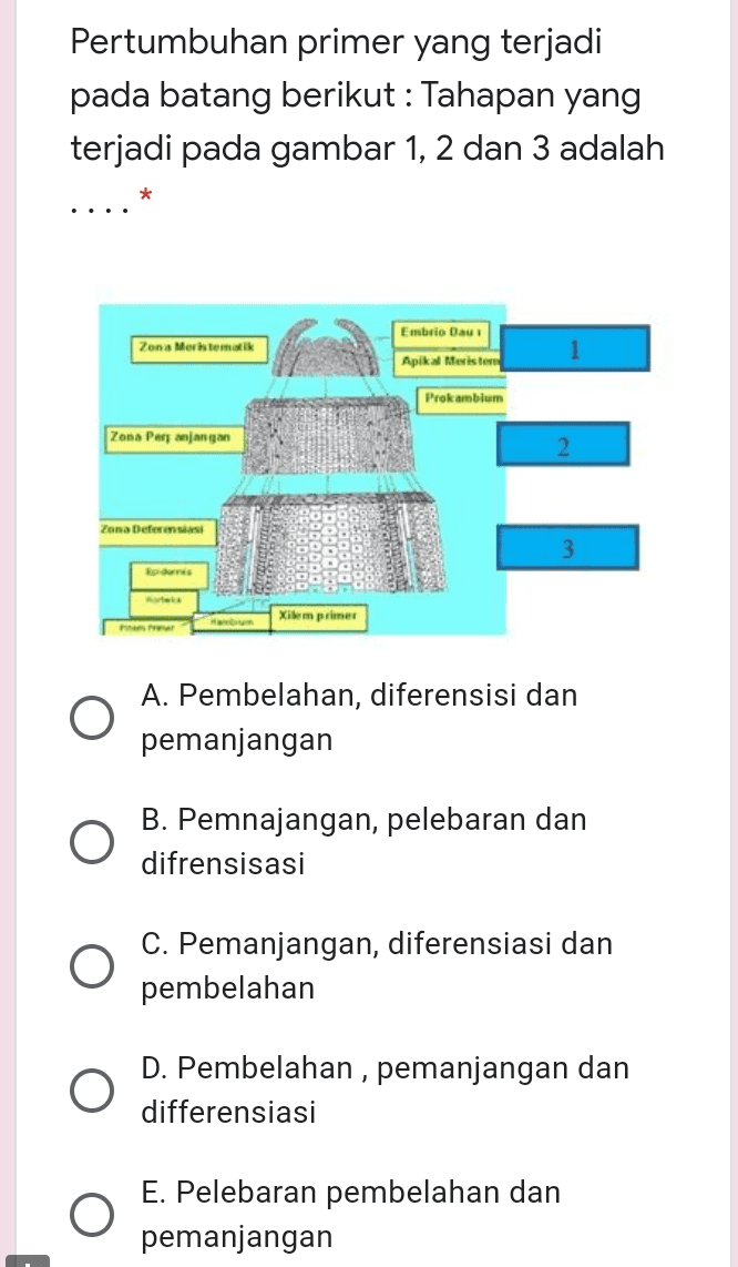 Pertumbuhan primer yang terjadi pada batang berikut : Tahapan yang terjadi pada gambar 1, 2 dan 3 adalah * Embrio Dau Zona Meristematik Apikalesistem Prokambium Zona Pery jangan 2 Zona Deferensiasi 3 Xilem primer O A. Pembelahan, diferensisi dan pemanjangan O B. Pemnajangan, pelebaran dan difrensisasi C. Pemanjangan, diferensiasi dan pembelahan D. Pembelahan, pemanjangan dan differensiasi E. Pelebaran pembelahan dan pemanjangan 