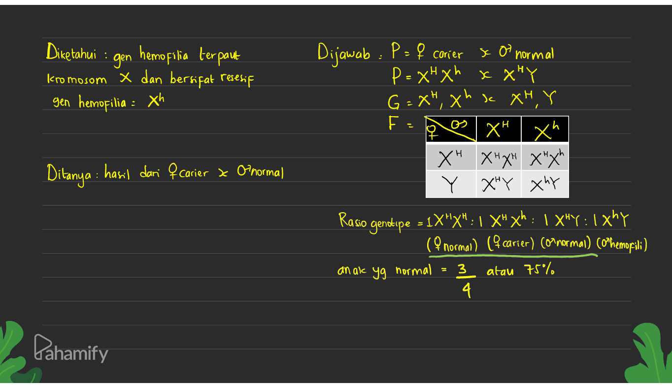 Diketahui gen hemofilia terpaut kromosom X dan bersifat resesif gen hemofilia : xh Dijawab : P = $ corier y Of normal P f x o P=xH xh XX"Y G=XH, Xhsc XHY ху XH xh X" XX* X"x" Y XY XhY F- Ditanya : hasil dari f carier * O'normal Rasio genotipe = 1X*XH: 1 X* xh : 1 XHY: 1xhy (normal) (4 carier) (or normai) Co hemofili) anak yg normal atau 75% 4 3 Pahamify 