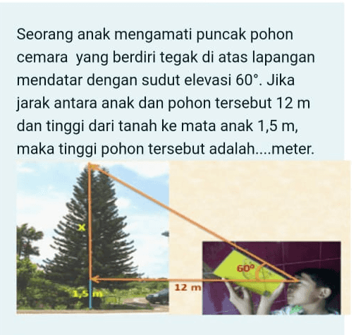 Seorang anak mengamati puncak pohon cemara yang berdiri tegak di atas lapangan mendatar dengan sudut elevasi 60°. Jika jarak antara anak dan pohon tersebut 12 m dan tinggi dari tanah ke mata anak 1,5 m, maka tinggi pohon tersebut adalah....meter. 12 m 