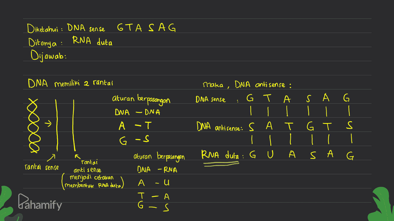 GTA SAG : Diketahui : DNA sense Ditanya RNA duta Dijawab: : / DNA memiliki 2 rantai aturan berpasangan DNA -DNA : > xxxxx maka , DNA anti sense : DNA sense G ||| DNA antisense: SA T . | RNA duta : G U А A - T Al FlA s I 11 G S . s G G-s rantai sense Tantai anti sense menjadi cetakan membentuk RNA dusta) aturan berpasangan DNA -RNA A - u T А G s Pahamify hD s 