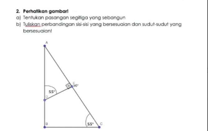 2. Perhatikan gambar! a) Tentukan pasangan segitiga yang sebangun b) Tuliskan perbandingan sisi-sisi yang bersesuaian dan sudut-sudut yang bersesuaian! 55 55° 