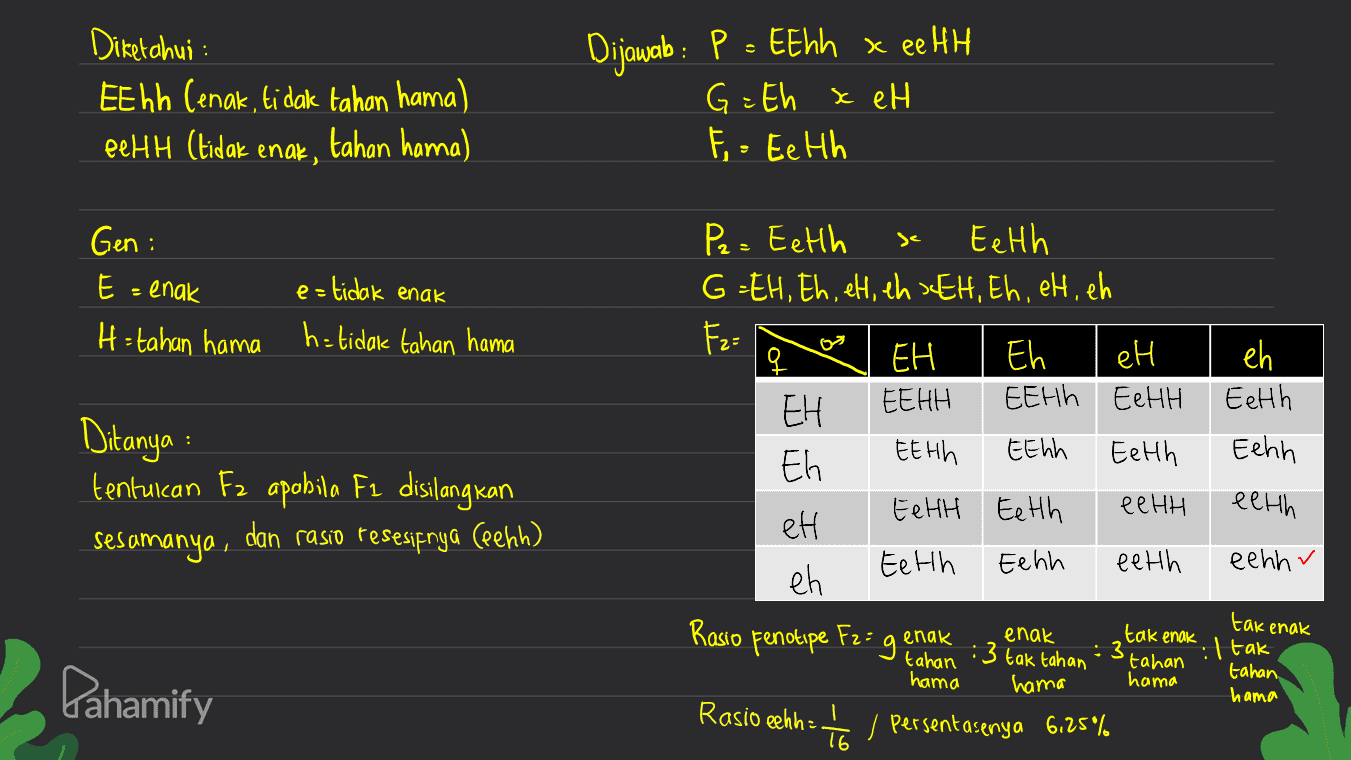 Diketahui : EE hh (enak, tidak tahan hama) eehh (tidak enak, tahan hama) Dijawab : P = EEhh x ee HH G=Eh x eH F = Eeth se Gen: E = enak e=tidak enak h= tidak tahan hama H=tahan hama eh Eeth Eehh Ditanya : tentulan Fz apobila F2 disilang kan sesamanya, dan rasio tesesipnya (penn) Pe - Eeth Eeth G=EH, Eh, eh, eh JEH, Eh, eh, eh F2= EH Eh eH ЕЕНh EeHH EEHH EH Eh ЕЕ Нh EEhh Eeth ее НН Eehh Eeth eH Eeth Eehh eeth eh Rasio Fenotipe tahan 'tahan hama Rasio eehh : – , persentasenya 6.25% 16 eeth eehhr takenak F: g. enak tak enak enak :3 tak tahan :3 Pahamify : tak tahan, hama hama hama 