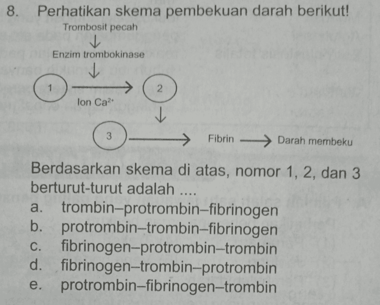 8 Perhatikan Skema Pembekuan Darah Berikut Trombo Tanya Mipi