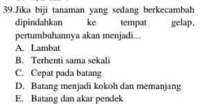 39.Jika biji tanaman yang sedang berkecambah dipindahkan ke tempat gelap. pertumbuhannya akan menjadi... A. Lambat B. Terhenti sama sekali C. Cepat pada batang D. Batang menjadi kokoh dan memanjang E. Batang dan akar pendek 