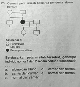 20. Cermati peta silsilah keluarga penderita albino berikut! ! Keterangan: O Perempuan Laki-laki Perempuan albino Berdasarkan peta silsilah tersebut, genotipe individu nomor 1 dan 2 secara berturut-turut adalah a albino dan albino d carrier dan normal b. carrier dan carrier e normal dan normal c. normal dan carrier 