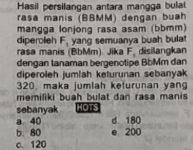 Hasil persilangan antara mangga bulat rasa manis (BBMM) dengan buah mangga lonjong rasa asam (bbmm) diperoleh F, yang semuanya buah bulat rasa manis (BbMm). Jika F disilangkan dengan tanaman bergenotipe BbMm dan diperoleh jumlah keturunan sebanyak 320, maka jumlah keturunan yang memiliki buah bulat dan rasa manis sebanyak HOTS d 180 b. 80 e 200 c. 120 a 40 