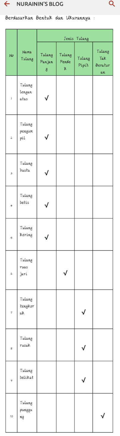 + NURAININ'S BLOG Q Berdasarkan Bentuk dan Ukurannya : Jenis Tulang No Nama Tulang Tulang Tulang Pende Tulang TaR Beratur Tulang Pipit Panjan 9 R Q11 Tulang lengan atas ✓ Tulang pengum . pil ✓ Tulang hasta ✓ Tulang betis + ✓ Tulang Rering ✓ Tulang TUS jari ✓ Tulang tengkor 7 ar ✓ Tulang TUSUR ✓ Tulang belirat ป Tulang punggu 10 ป ng 