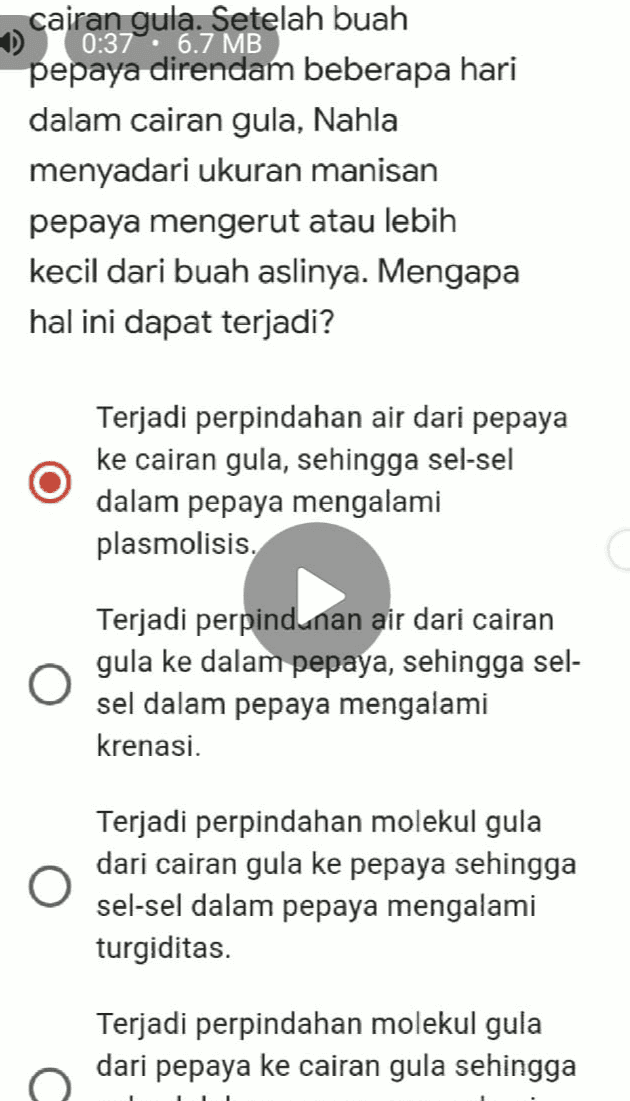 cairan gula. Setelah buah 0:37. 6.7 MB pepaya direndam beberapa hari dalam cairan gula, Nahla menyadari ukuran manisan pepaya mengerut atau lebih kecil dari buah aslinya. Mengapa hal ini dapat terjadi? Terjadi perpindahan air dari pepaya ke cairan gula, sehingga sel-sel dalam pepaya mengalami plasmolisis. Terjadi perpindunan air dari cairan gula ke dalam pepaya, sehingga sel- sel dalam pepaya mengalami krenasi. O Terjadi perpindahan molekul gula dari cairan gula ke pepaya sehingga sel-sel dalam pepaya mengalami turgiditas. Terjadi perpindahan molekul gula dari pepaya ke cairan gula sehingga 