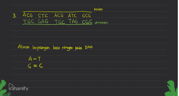 kodon 3. ACG CTC ACG ATC GCG TGC GAG TGC TAG CGC antikodon Aturan berpasongan basa nitrogen pada DNA A=T G=c Pahamify 
Sugar-Phosphate Backbones Nucleotide с с G W A T A T G с A Key: Adenine С G Thymine T A A Guanine T A Cytosine Hydrogen Bonds Antiparallel DNA Strands DNA Ladder Double Helix 