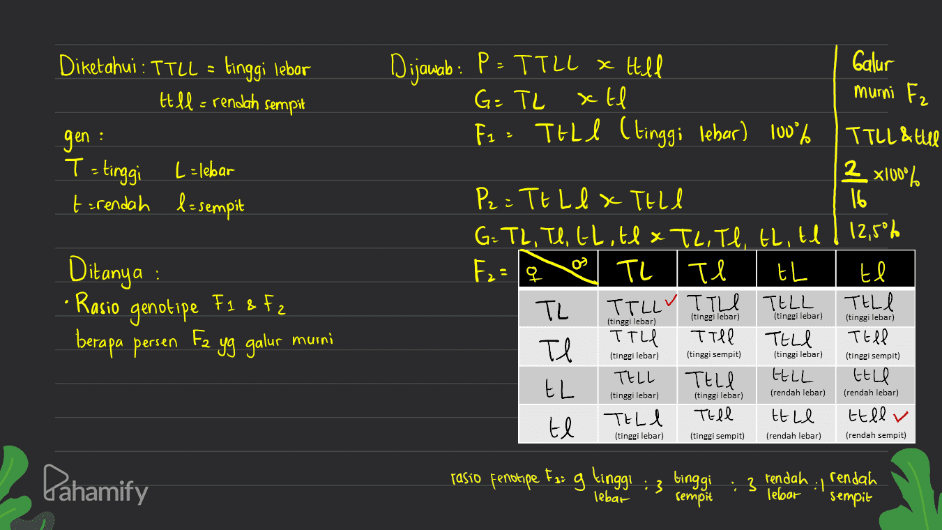 Diketahui : TTLL = Hill= rendah sempit tinggi lebar Dijawab : P = TTLL x Hill G = TL xtl F2 - THL l (tinggi lebar) 100% Galur murni Fz TILL & till gen : T = tinggi L = lebar terendah l=sempit 2 x100% 16 2 12,5% o Fz=19 Ditanya : • Rasio genotipe Fs & Fz & berapa persen P2 = TtllX TELU G = TL, TI, GL, tlx TL. Tl, tl, El E TL Te th TL TILLY TILL TELL TITLE Till TELI ТА. TELL TELI HELL EL Tell TELI ttle El te TELI (tinggi lebar) (tinggi lebar) (tinggi lebar) (tinggi lebar) Fa murni Tell yg galur (tinggi lebar) (tinggi sempit) (tinggi lebar) (tinggi sempit) ttle (tinggi lebar) (tinggi lebar) (rendah lebar) (rendah lebar) ttll v (tinggi lebar) (tinggi sempit) (rendah lebar) (rendah sempit) Pahamify rasio fenotipe Ezi g tinggi :3 tinggi sempit 3 rendah lebar : rendah sempit lebar 