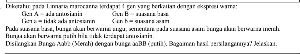 Diketahui pada Linnaria marocanna terdapat 4 gen yang berkaitan dengan ekspresi warna: Gen A = ada antosianin Gen B = suasana basa Gen a = tidak ada antosianin Gen b = suasana asam Pada suasana basa, bunga akan berwarna ungu, sementara pada suasana asam bunga akan berwarna merah. Bunga akan berwarna putih bila tidak terdapat antosianin. Disilangkan Bunga Aabb (Merah) dengan bunga aaBB (putih). Bagaiman hasil persilangannya? Jelaskan. 