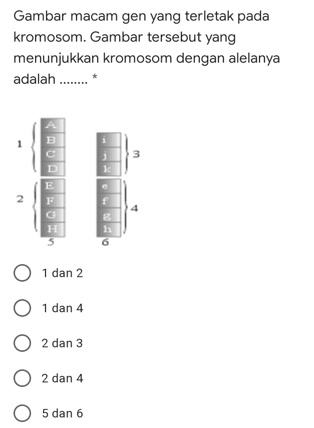 Gambar macam gen yang terletak pada kromosom. Gambar tersebut yang menunjukkan kromosom dengan alelanya adalah ....... 1 B 3 j k E 2 F H 5 200 1 dan 2 0 1 dan 4 2 dan 3 2 dan 4 O 5 dan 6 
