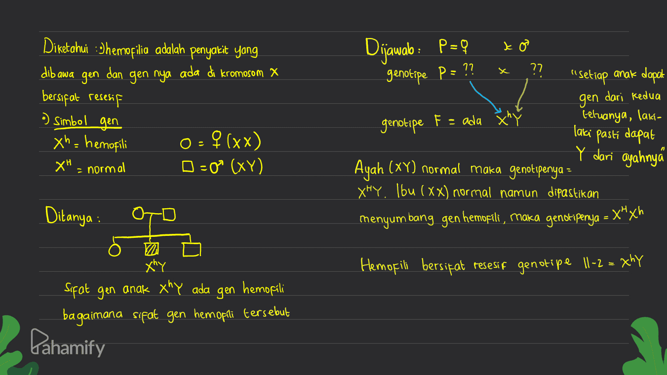 =9 ko Dijawab: P=9 genotipe p = ?? x х ?? "Setiap anak dapat Diketahui :Whemofilia adalah penyakit yang dibawa gen dan gen nya ada di kromosom X bersifat resesif o) simbol gen xh= hemofili XH = normal gen dari kedua F = ada retuanya, laki- - genotipe 0:4(xx) D = 0 (XY) laki pasti dapat Y dari ayahny Ayah (XY) normal maka genotipenya - XHY. Ibu (xx) normal namun dipastikan maka genotipenya Ditanya menyumbang gen hemofili, :X"xh O- U Hemofili bersifat resesif genotipe 11-2 = Xhy Xhy Sifat gen anak xhy ada gen hemofili bagaimana sifat gen hem opiti tersebut Pahamify 
