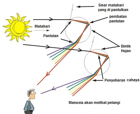 Sinar matahari yang di pantulkan pembatas pantulan Matahari Pantulan Bintik Hujan Penyebaran cahaya Manusia akan melihat pelangi 
Sinar matahari yang di pantulkan pembatas pantulan Matahari Pantulan Bintik Hujan Penyebaran cahaya Manusia akan melihat pelangi 