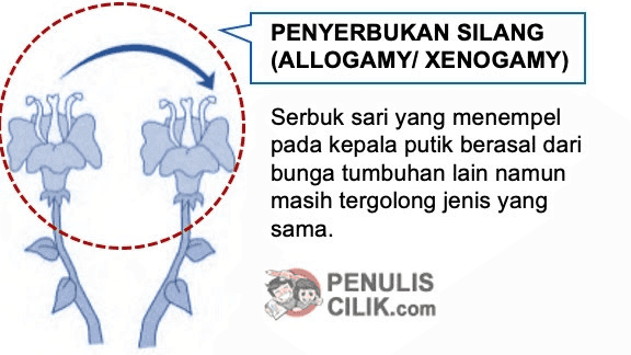 PENYERBUKAN SENDIRI (AUTOGAMY) Serbuk sari yang menempel pada bagian putik berasal dari bunga itu sendiri. PENULIS CILIK.com 
PENYERBUKAN TETANGGA (GEITOGAMY) Serbuk sari yang menempel pada kepala putik berasal dari bunga lain namun masih pada tumbuhan yang sama PENULIS CILIK.com 
PENYERBUKAN SILANG (ALLOGAMYI XENOGAMY) Serbuk sari yang menempel pada kepala putik berasal dari bunga tumbuhan lain namun masih tergolong jenis yang sama. PENULIS CILIK.com 
PENYERBUKAN BASTAR (HYBRIDOGAMY) Serbuk sari yang menempel pada kepala putik berasal dari bunga pada tumbuhan lain yang berbeda jenis atau setidaknya memiliki satu sifat beda. PENULIS CILIK.com 