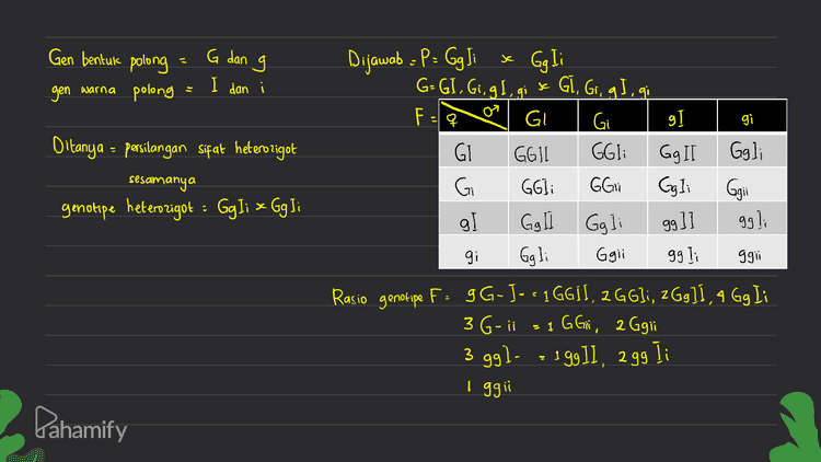 P: AABB CCI Gamet = ABC AaBb Cc x aabbcc se abc Csemuonya / 100%) maka kemungkinan keturunan Aabb Ce= 1 Pahamify 
Gen bentuk polong G dan g gen warna polong I dan gi F= or gi Dijawab : P: Gg Ji x Gg Ii G = GI, Gi, gl, x Gl, Gi, gI, gi GI Gi g) GGIL GGI: Gg II Gi GGI: GGii Gqli g] Ggl Gali Gg 9911 Ditanya = persilangan sifat heterozigot sesamanya genotipe heterozigot : GgIi x Gg Ii Ggli Ggii ggli gi Ggli Ggii 99 li ggi Rasio genotipe F: gG-J- - 1 GGS), 2 GGDi, 2Gg]Í , 4 Gg Ii 3G-il s 1 GGü, Ggli 1 2 آ وو2 11و19: -وو 3 I ggii Pahamify 
x k Ketentuan genotipe pial ayam P-R- Walnut - pea ppR- = single Porr 오 l Pr - rose Dijawab: P = PPR, P = PPRr x pphr G =PR, Pr PR, pr F à a PR I P. PR PRR PR. Porn Porn Ratio genotipe : PARR : 2 PpRr : 1 pprr = (walnut) (walnut) (pea) Ratio fenotipe = 3 walnut : ' pea ppre pr 2 Ditanya = PPR, & pp Rr . jumlah keturunan yang mirip kedua tetuanya (walnut) & (rose) 75% Yang mirip telua (walnut) 3 4 Pahamify 
sc P₂ = AaBb Cc D d Aa Bb Cc D d G = gamet nya banyak banget nih kalo dijabarkan kata pakai pendekatan matematika jumlah gamet: 2", n- jumlah heterozigot menentukan jumlah keturunan Außbcond dari persilangan AaBb Cc D d x Aa Bb Cc D d Aa x Aa, hasil Aa = 2 Bb se Bb, hasil Bb = 2 Cc se Cc, hasil Cc : 2 Da se Dd, hasil Dd : 2 ) 4. gamet - 29 AaBb Cc D d punya 4 heterozigot, jadi 16 P2= Aabb Cc Dd sc AaBb Cc D d G= 16 16 Jumlah keturunan fz = 16x16 = 256 kalau dijabarkan banyak banget Lalu 2x2 x 2 x 2 16 Jadi jumlah Aadb c Da : 16 C Marca rasio AaBb Cc D d 1b - I 16 256 Pahamify 