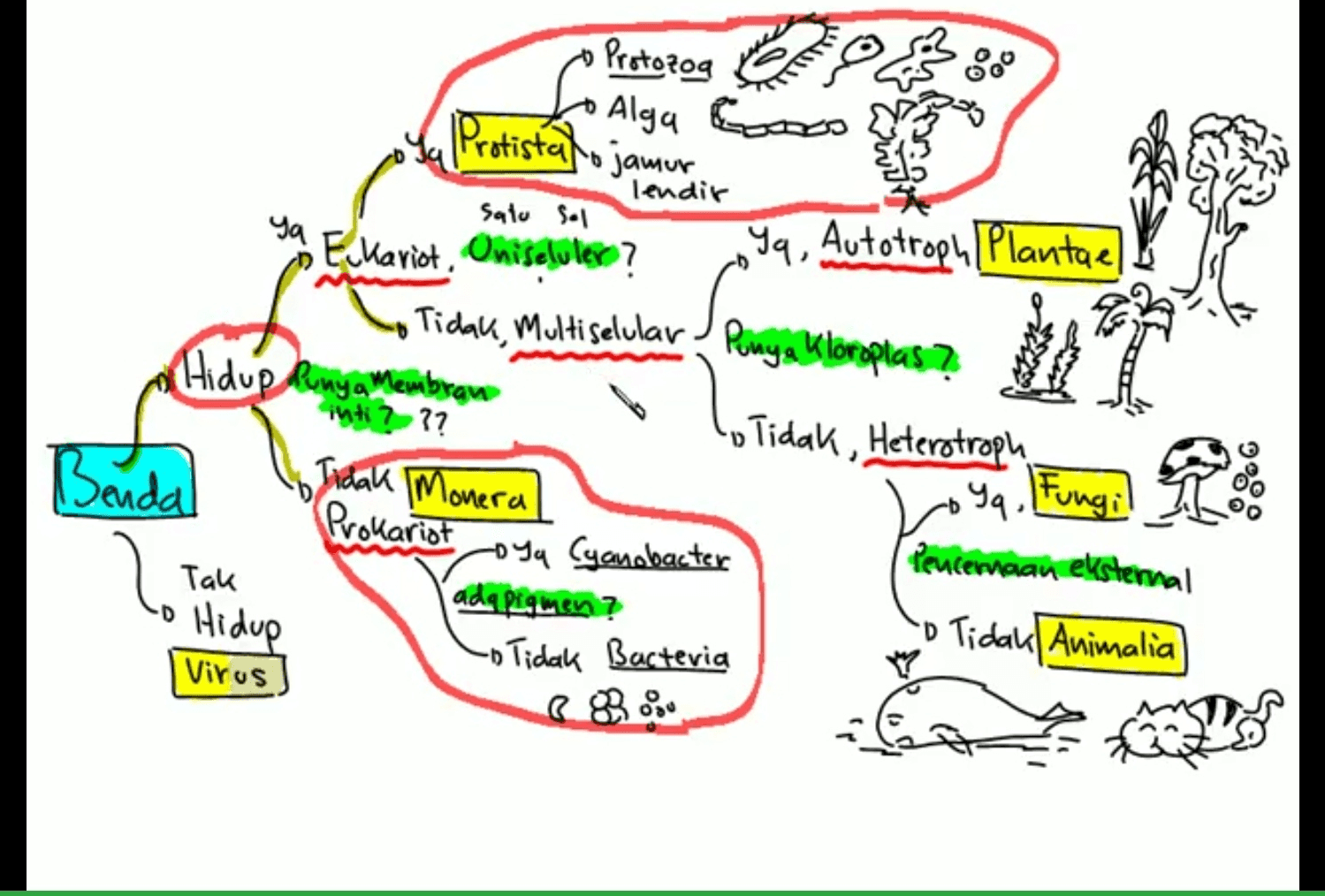 Protozoa Alga Goooo ܐܰܪ̈ܐ Protistało jamur sary lendir satu sol Ya 199, Autotroph Plantae E Kariot, Oniseluler? Tidak, Multiselular. Punya Kloroplas? Hidup Runya Membran inti??? 1. Tidak, Heterotroph Benda Pencemaan eksternal dya Cyanobacter Tak ada pigmen? o Tidah Animalia Hidup Virus Tidak Monera Prokariot 99. Fungi -1 Tidak Bacteria 