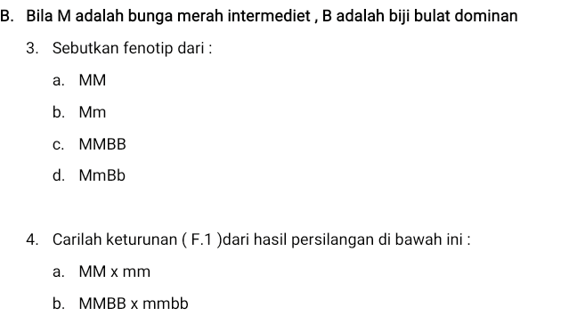 B. Bila M adalah bunga merah intermediet, B adalah biji bulat dominan 3. Sebutkan fenotip dari : a. MM b. Mm C. MMBB d. MmBb 4. Carilah keturunan (F.1 )dari hasil persilangan di bawah ini : a. MM x mm b. MMBB x mmbb 