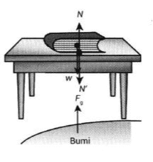 N W N F Bumi 