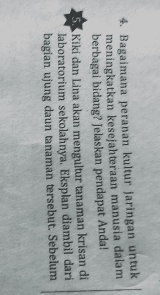 4. Bagaimana peranan kultur jaringan untuk meningkatkan kesejahteraan manusia dalam berbagai bidang? Jelaskan pendapat Anda! Kiki dan Lina akan mengultur tanaman krisan di laboratorium sekolahnya. Eksplan diambil dari bagian ujung daun tanaman tersebut. Sebelum 
diinokulasi pada medium tanam, eksplan won tersebut disterilisasi terlebih dahulu. Sterilis dilakukan dengan mencelupkan eksplan terset pada alkohol 90%, kemudian dibakar di atas Menurut pendapat Anda, sudah tepatkah c sterilisasi yang dilakukan oleh Kiki dan Li Jelaskan pendapat Anda! 
