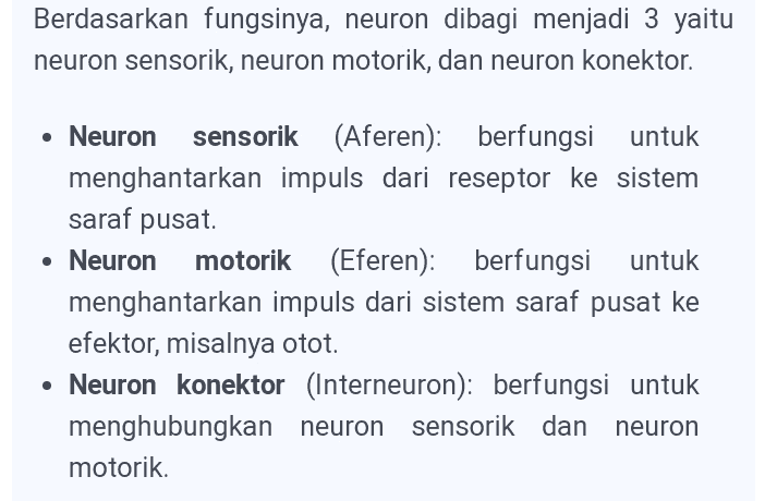 Berdasarkan fungsinya, neuron dibagi menjadi 3 yaitu neuron sensorik, neuron motorik, dan neuron konektor. • Neuron sensorik (Aferen): berfungsi untuk menghantarkan impuls dari reseptor ke sistem saraf pusat. • Neuron motorik (Eferen): berfungsi untuk menghantarkan impuls dari sistem saraf pusat ke efektor, misalnya otot. • Neuron konektor (Interneuron): berfungsi untuk menghubungkan neuron sensorik dan neuron motorik. 