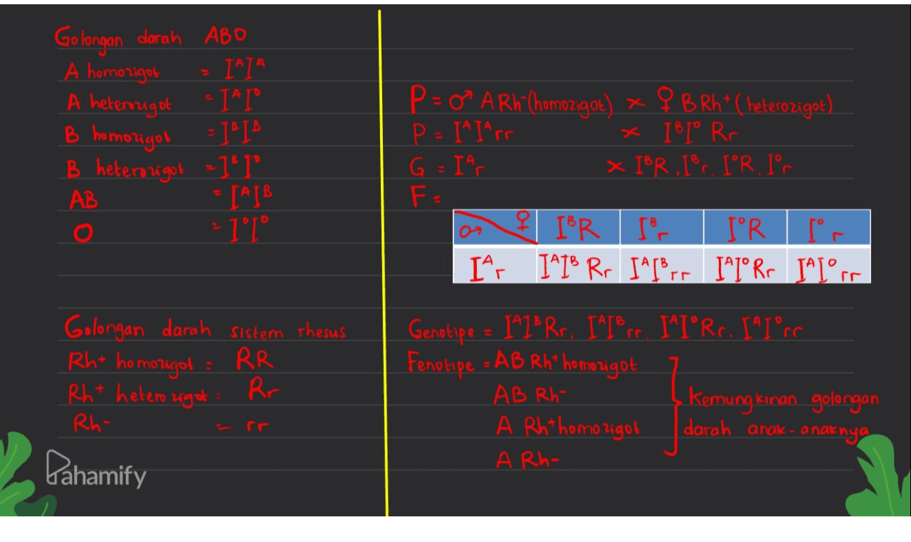 A heterozigot B homozigot Golongan darah ABO A homozigot IAIA ТАТ = B heterozigot -IT IA IB - II P=0?A Rh (homozigot) x q B Rh* (heterozigot) P = I^I^rr x I BI Rr G = Ihr x IBR , I'r. I°R. I'r F = I'R Iar IAIS Rr IA[Brr. I^IºRr JAlºrs AB I IBR I'r Golongan darah sistem Thesus Rht homozigot RR Rht heterozigot Rr Rh- Pahamify Genotipe = l^PP Rr, ISTO rr. I^IºRr. I^I°r. Fenotipe = AB Rh* homozigot AB Rh - Kemungkinan golongan A Rht homozigol darah anak-anaknya A Rh- 
