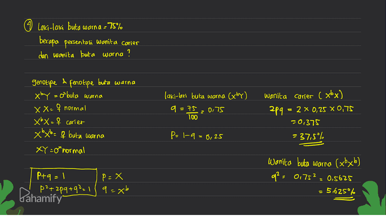 (3) Jumlah individu - 60.000 orang albino : orang normal :10.000 Berapa jumlah yang heterozigot ? Genotipe Fertipe AA Normal Coz) Аа normal carier (29) dibino (9²) albino (aa) = q² = 6 orang 60.000 orang q² = 0,001 a = 50,ool Heterozigot (normal carier (Aa) 9=0,1 2pq : 2 x 0,9 xool aa 0,18 Kesetimbangan Hardy Weinberg på +2p9 + q2 = 1 P+9 = 1 Pahamify Jumlahnya : 0,18 * 60.000 p=1-a p=1-01 p=0,9 는 • 10.800 
© Laki-laki buta warna = 75% berapa persentasi Wanita Carier dan wanita buta warna ? A laki-laki buta warna Cxby) q genotipe fenotipe buta warna Xby =o buta warna xX=q normal xbx=f carier Xbxbe - a buta warna XY =o normal = 75 100 0,75 wanita carier (xbx) 209 = 2 x 0,25 x 0,75 -0,375 = 37,5% P=1-q=0,25 Wanita buta warna (xbxb) q2 - 01752 5625° Ptq=1 p=X p²+2pq+92=1/9=x6 += = 0,5625 Pahamify و 