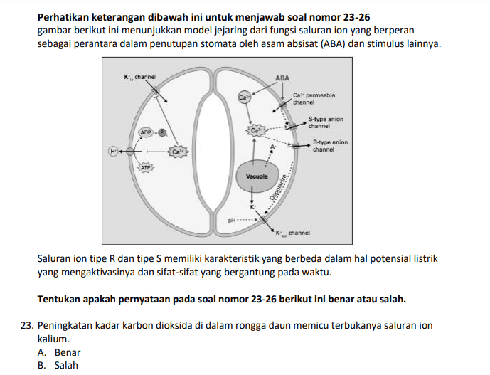 Perhatikan keterangan dibawah ini untuk menjawab soal nomor 23-26 gambar berikut ini menunjukkan model jejaring dari fungsi saluran ion yang berperan sebagai perantara dalam penutupan stomata oleh asam absisat (ABA) dan stimulus lainnya. channel ABA Campermeable channel S-type anion channel R-type anion channel Vacuole Depolare channel Saluran ion tipe R dan tipe S memiliki karakteristik yang berbeda dalam hal potensial listrik yang mengaktivasinya dan sifat-sifat yang bergantung pada waktu. Tentukan apakah pernyataan pada soal nomor 23-26 berikut ini benar atau salah. 23. Peningkatan kadar karbon dioksida di dalam rongga daun memicu terbukanya saluran ion kalium. A. Benar B. Salah 