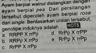Ayam berpial walnut disilangkan dengan ayam berpial pea Dari persilangan tersebut diperoleh ayam berpial rose dan single Berdasarkan uraian tersebut, genotipe induknya adalah HOTS a RRPP X TPp d RrPp X PP b. RRPP X rrPp e RrPp X rrPp c RrPP X mrPp 