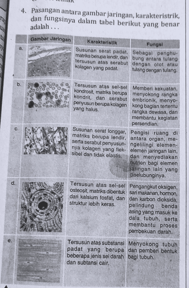 4. Pasangan antara gambar jaringan, karakteristrik, dan fungsinya dalam tabel berikut yang benar adalah ... Gambar Jaringan a. Karakteristik Fungsi Susunan serat padat, Sebagai penghu- matriks berupa lendir, dan bung antara tulang tersusun atas serabut dengan otot atau kolagen yang padat. tulang dengan tulang. Tersusun atas sel-sel Memberi kekuatan, kondrosit, matriks berupa menyokong rangka kondrit, dan serabut embrionik, menyo- penyusun berupa kolagen kong bagian tertentu yang halus. rangka dewasa, dan membantu kegiatan persendian Susunan serat longgar, Pengisi ruang di matriks berupa lendir, antara organ, me- serta serabut penyusun- ngelilingi elemen- nya kolagen yang flek- elemen jaringan lain, sibel dan tidak elastis. dan menyediakan nutrien bagi elemen jaringan lain yang diselubunginya. Tersusun atas sel-sel Pengangkut oksigen, osteosit, matriks dibentuk sari makanan, homon, dari kalsium fosfat, dan dan karbon dioksida, struktur lebih keras. pelindung benda asing yang masuk ke dala tubuh serta membantu proses pembekuan darah.. Tersusun atas substansi Menyokong tubuh padat yang berupa dan pemberi bentuk beberapa jenis sel darah bagi tubuh. dan subtansi cair. 