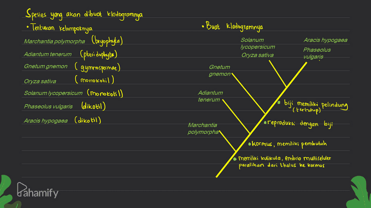 • Buat Kladogramnya Aracis hypogaea Solanum lycopersicum Oryza sativa Phaseolus vulgaris Spesies yang akan dibuat klodogramnya • Tentukan kelompoknya Marchantia polymorpha (bryophyta) Adiantum tenerum Cpteridophyta) Gnetum gnemon ( gymnospermae) ( monokotil) Solanum lycopersicum (monokotil) Phaseolus vulgaris (dikotil) Aracis hypogaea (dikotil) Gnetum gnemon Oryza sativa Adiantum tenerum biji memiliki pelindung (tertutup) oreproduksi dengan biji Marchantia polymorpha okormus, memilikci pembuluh memiliki kutikula, embrio multiseluler peralihan dari thalus ke kormus Pahamify 
Peta konsep taksonomi Plantae (PLANTAE Kladogram Plantae tumbuhan berspora tumbuhan berbiji Monokotil Dikatil Gymnospermae Bryophyta Pteridophytal spermatophyta (lumut) (paku) Angiospermae Pteridophyta, Gymnospermae (berbiji terbuka) Angiospermae (berbiji tertutup) biji , memiliki pelindung '(tertiup) o reproduksi dengan biji Bryophyta okormus, memilikci pembuluh monokotil dikotil ( biji keping satu) memiliki kutikula, embrio multiseluler peralihan dari thalus ke kormus (biji keping dual Alga nenek moyang bersama Pahamify 