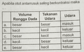 Apabila otot antarrusuk saling berkontraksi maka Udara Volume Rongga Dada besar kecil b. Tekanan Udara besar kecil kecil besar kecil C. besar masuk keluar masuk keluar keluar d. kecil e besar 