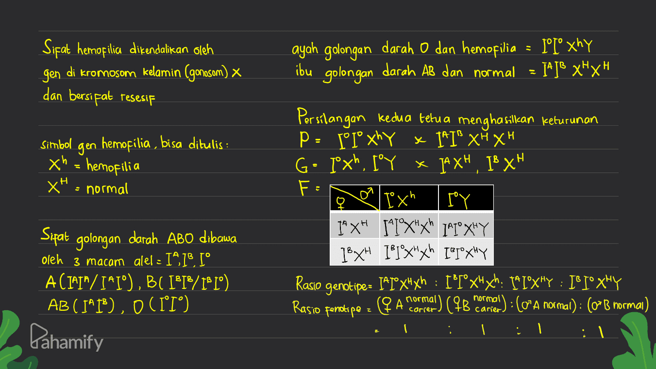 Sifat hemofilia dikendalikan oleh gen di kromosom kelamin (gonosom) x ayah golongan darah O dan hemofilia ibu golongan darah AB dan normal II° xhy IA JB xHXH dan bersifat resesif Simbol gen hemofilia, bisa ditulis : Н. xh = hemofilic а XH = normal oa lex Persilangan kedua tetua menghasillean Iceturunan P. II° xhy x 1I' XH XH G- pxh, I'Y x JAXH, 1³ xH ° x F: 오 Ixh I'Y 1" XH t^lºx"x" ["Tºx"Y 16x 181X"x 1°T°*"Y Rasio genotipe= IAT°xHxh : 1°T°xHxh: 1^I°XHy : IºXHY (q A corrente(78 marme) : (OʻA normal) : (o^B normal) . Sifat golongan darah ABO dibawa oleh 3 macam alel - I^18 I° ACIAI"/I^1°), B( II/II) AB ( I^I), O(II) : normal Rasio penotipe normal carier z I Pahamify I 
