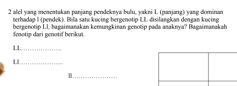 2 alel yang menentukan panjang pendeknya bulu, yakni L (panjang) yang dominan terhadap 1 (pendek). Bila satu kucing bergenotip LL disilangkan dengan kucing bergenotip Li, bagaimanakan kemungkinan genotip pada anaknya? Bagaimanakah fenotip dari genotif berikut. LL... Li. ll.. 