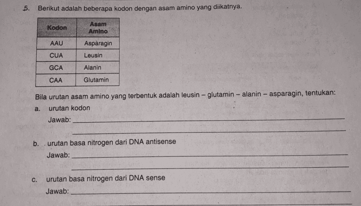 5. Berikut adalah beberapa kodon dengan asam amino yang diikatnya. Kodon Asam Amino AAU Asparagin CUA Leusin GCA Alanin CAA Glutamin Bila urutan asam amino yang terbentuk adalah leusin - glutamin - alanin - asparagin, tentukan: urutan kodon a. Jawab: b. urutan basa nitrogen dari DNA antisense Jawab: C. urutan basa nitrogen dari DNA sense Jawab: 