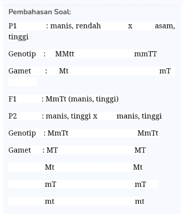 Pembahasan Soal: : manis, rendah X asam, P1 tinggi Genotip : MMtt mmTT Gamet : Mt mT F1 : MmTt (manis, tinggi) P2 : manis, tinggi x manis, tinggi Genotip : MmTt MmTt Gamet : MT MT Mt Mt mT mT mt mt 
F2: MT Mt mT mt MT MMTT MMTt MmTT MmTt Mt MMTt MMtt MmTt Mmtt mT MMTT MmTt mmTT mmTt mt MmTt Mmtt mmTt mmtt Pada F2 diperoleh macam fenotip : manis tinggi :9 Manis rendah : 3 Asam tinggi :3 Asam rendah :1 Maka persentase manis rendah adalah (1/16)x 100% = 6, 25 % 