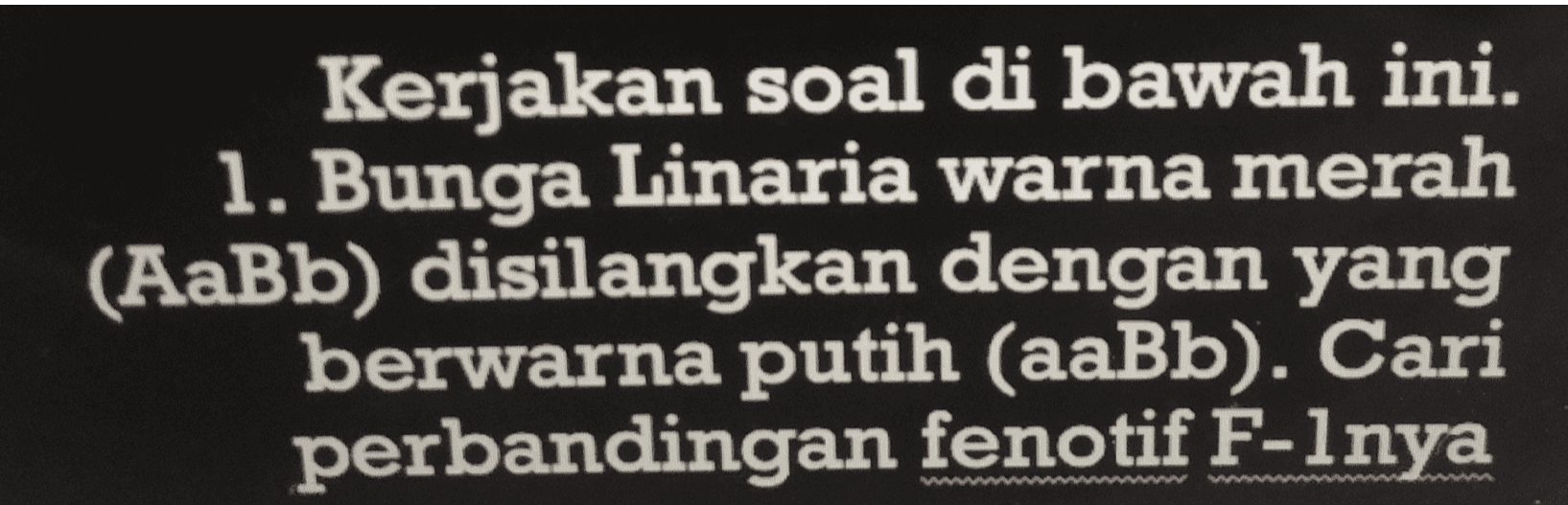 Kerjakan soal di bawah ini. 1. Bunga Linaria warna merah (AaBb) disilangkan dengan yang berwarna putih (aaBb). Cari perbandingan fenotif F-lnya w 
