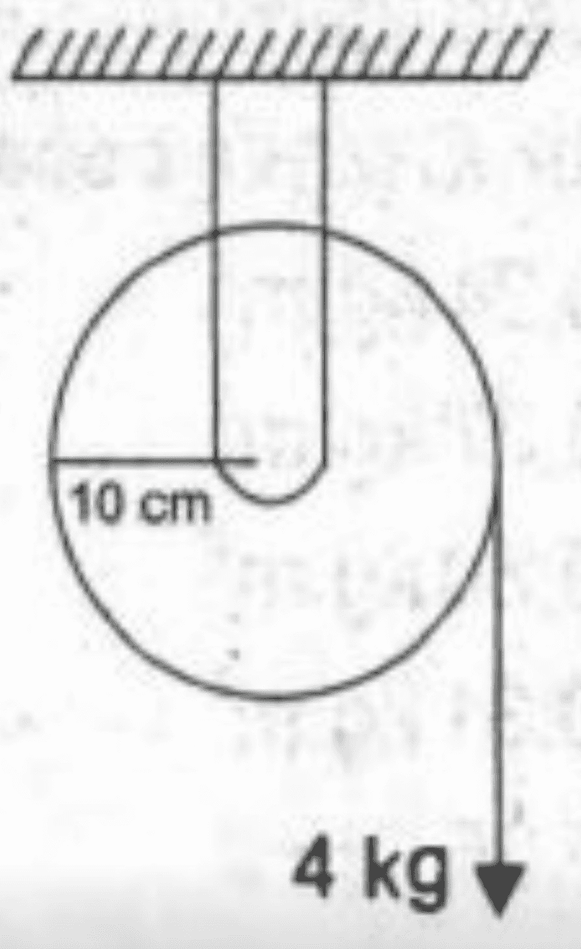 10 cm 4 kg 