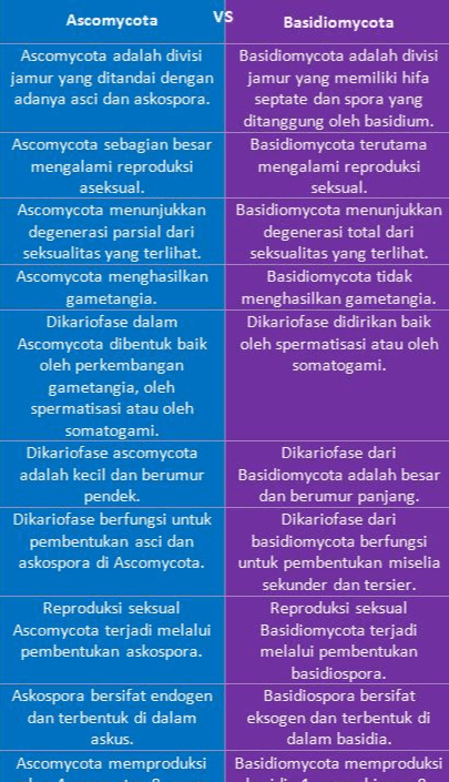 Ascomycota VS Basidiomycota Ascomycota adalah divisi Basidiomycota adalah divisi jamur yang ditandai dengan jamur yang memiliki hifa adanya asci dan askospora. septate dan spora yang ditanggung oleh basidium. Ascomycota sebagian besar Basidiomycota terutama mengalami reproduksi mengalami reproduksi aseksual. seksual. Ascomycota menunjukkan Basidiomycota menunjukkan degenerasi parsial dari degenerasi total dari seksualitas yang terlihat. seksualitas yang terlihat. Ascomycota menghasilkan Basidiomycota tidak gametangia. menghasilkan gametangia. Dikariofase dalam Dikariofase didirikan baik Ascomycota dibentuk baik oleh spermatisasi atau oleh oleh perkembangan somatogami. gametangia, oleh spermatisasi atau oleh somatogami. Dikariofase ascomycota Dikariofase dari adalah kecil dan berumur Basidiomycota adalah besar pendek. dan berumur panjang. Dikariofase berfungsi untuk Dikariofase dari pembentukan asci dan basidiomycota berfungsi askospora di Ascomycota. untuk pembentukan miselia sekunder dan tersier. Reproduksi seksual Reproduksi seksual Ascomycota terjadi melalui Basidiomycota terjadi pembentukan askospora. melalui pembentukan basidiospora. Askospora bersifat endogen Basidiospora bersifat dan terbentuk di dalam eksogen dan terbentuk di askus. dalam basidia. Ascomycota memproduksi Basidiomycota memproduksi 