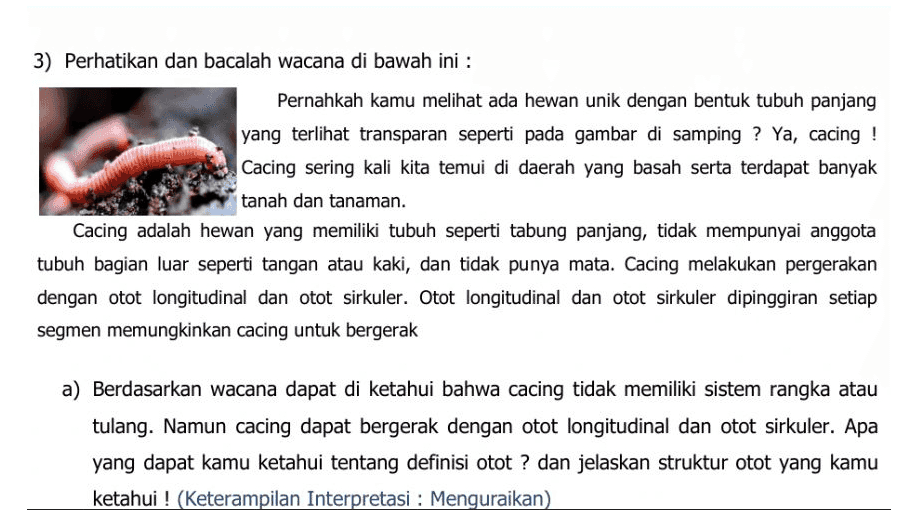 3) Perhatikan dan bacalah wacana di bawah ini : Pernahkah kamu melihat ada hewan unik dengan bentuk tubuh panjang yang terlihat transparan seperti pada gambar di samping ? Ya, cacing ! Cacing sering kali kita temui di daerah yang basah serta terdapat banyak tanah dan tanaman. Cacing adalah hewan yang memiliki tubuh seperti tabung panjang, tidak mempunyai anggota tubuh bagian luar seperti tangan atau kaki, dan tidak punya mata. Cacing melakukan pergerakan dengan otot longitudinal dan otot sirkuler. Otot longitudinal dan otot sirkuler dipinggiran setiap segmen memungkinkan cacing untuk bergerak a) Berdasarkan wacana dapat di ketahui bahwa cacing tidak memiliki sistem rangka atau tulang. Namun cacing dapat bergerak dengan otot longitudinal dan otot sirkuler. Apa yang dapat kamu ketahui tentang definisi otot ? dan jelaskan struktur otot yang kamu ketahui ! (Keterampilan Interpretasi : Menguraikan) 