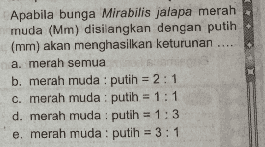 Apabila bunga Mirabilis jalapa merah muda (Mm) disilangkan dengan putih (mm) akan menghasilkan keturunan a. merah semua b. merah muda : putih = 2:1 c. merah muda : putih = 1:1 d. merah muda : putih = 1:3 e. merah muda : putih = 3:1 