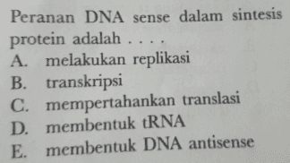 Peranan DNA sense dalam sintesis protein adalah .... A. melakukan replikasi B. transkripsi C. mempertahankan translasi D. membentuk tRNA E. membentuk DNA antisense 