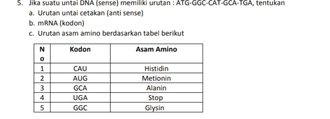 5. Jika suatu untai DNA (sense) memiliki urutan : ATG-GGC-CAT-GCA-TGA, tentukan a. Urutan untai cetakan (anti sense) b. mRNA (kodon) c. Urutan asam amino berdasarkan tabel berikut N Kodon Asam Amino o WNPO Z 1 2 3 4 5 CAU AUG GCA UGA GGC Histidin Metionin Alanin Stop Glysin 