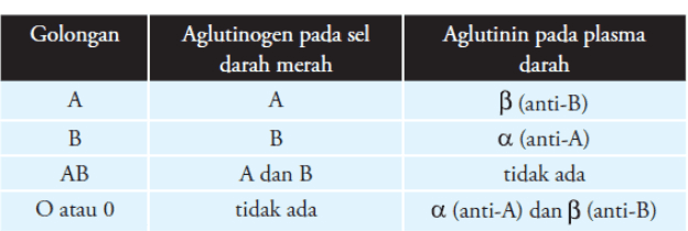 Golongan Aglutinogen pada sel darah merah A A Aglutinin pada plasma darah ß (anti-B) a (anti-A) tidak ada a (anti-A) dan B (anti-B) B AB B A dan B tidak ada O atau 0 